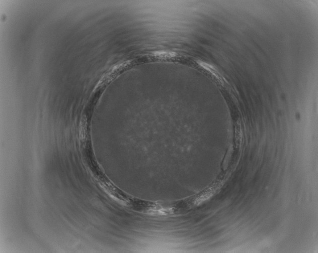 X0000084050760200703022214