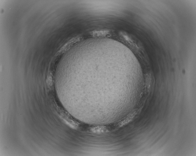 X0000084050761200703022214