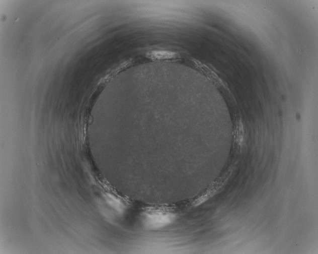 X0000084050763200703022214