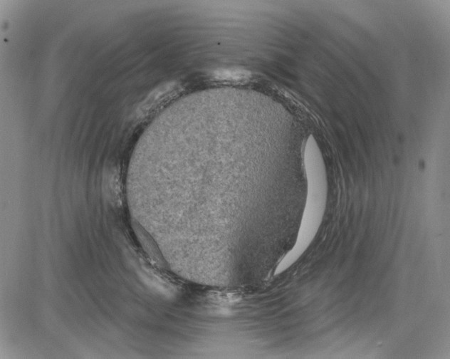 X0000084050764200703022214