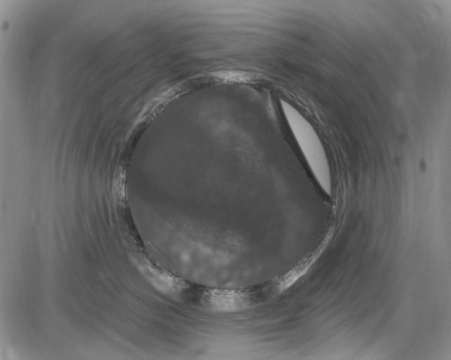 X0000084050766200703022214