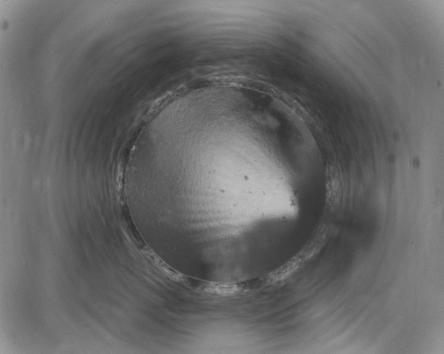 X0000084050767200703022214