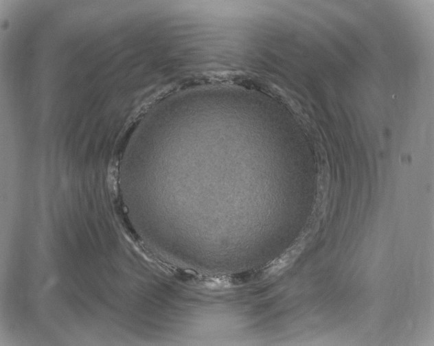 X0000084050768200703022214