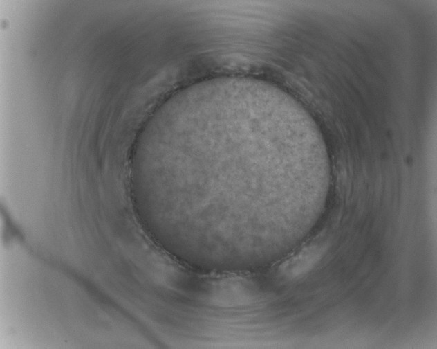 X0000084050769200703022214