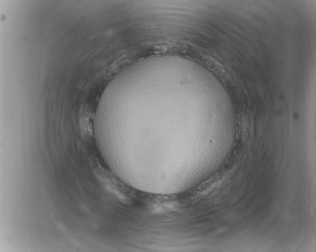 X0000084050770200703022214