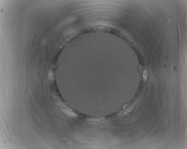 X0000084050771200703022214