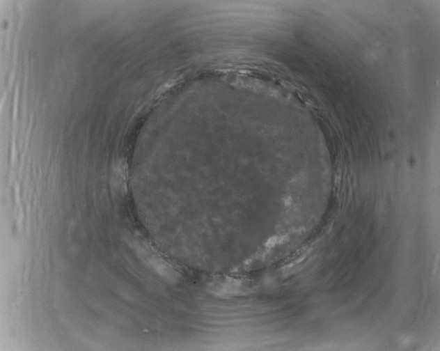 X0000084050772200703022214