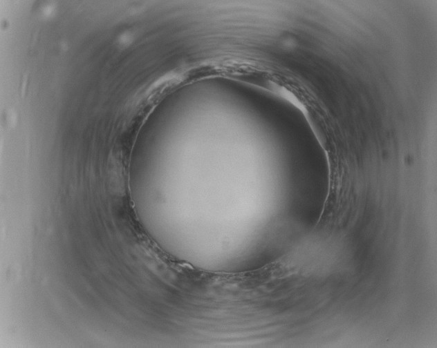 X0000084050773200703022214