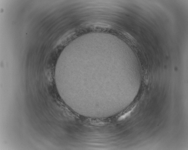 X0000084050774200703022214