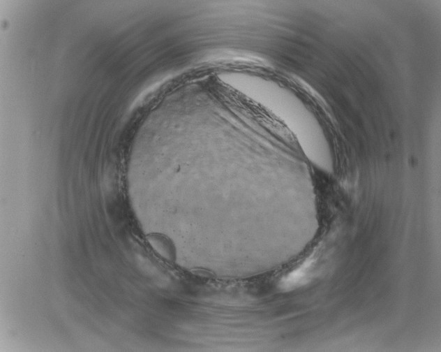 X0000084050775200703022214