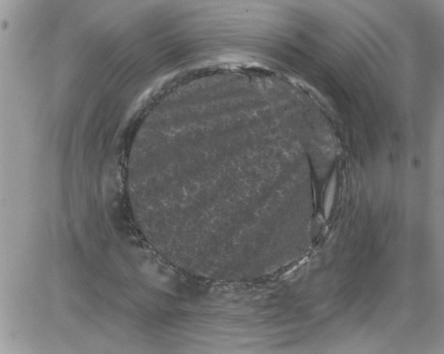 X0000084050776200703022214