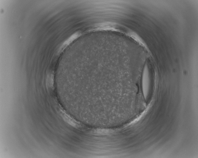 X0000084050777200703022214