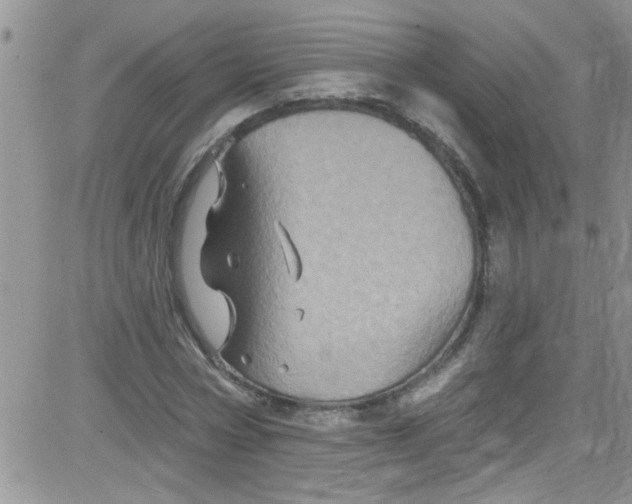 X0000084050778200703022214