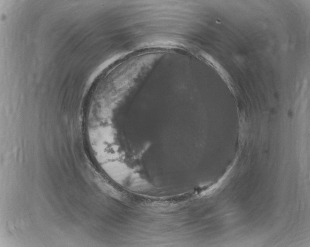 X0000084050779200703022214