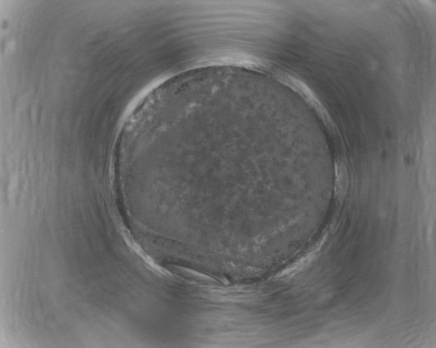 X0000084050780200703022213