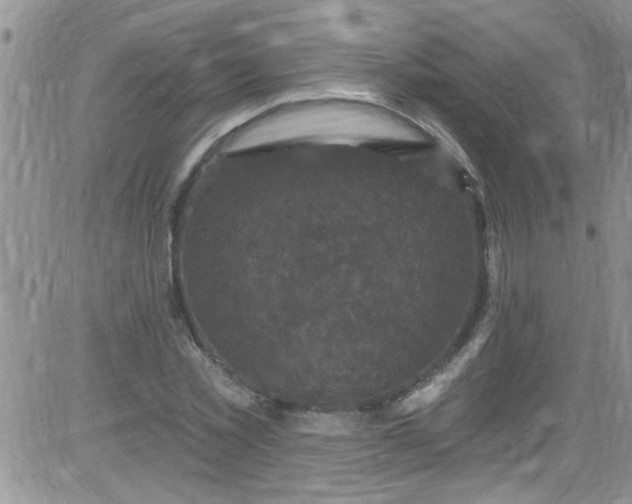 X0000084050781200703022213