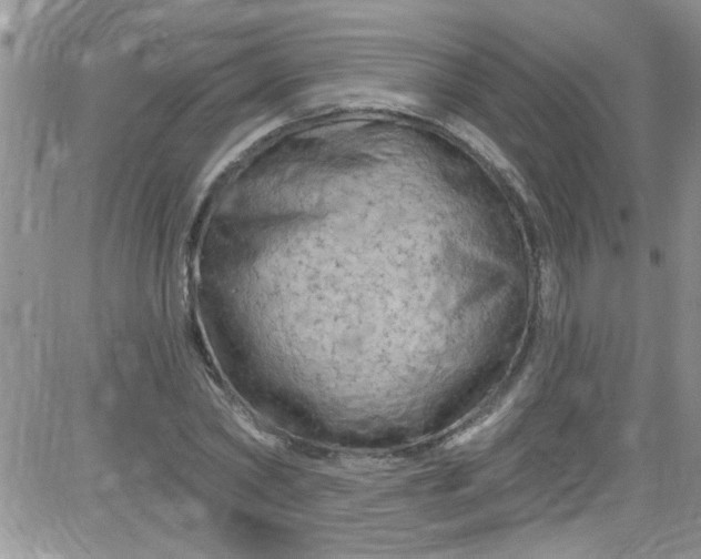 X0000084050782200703022213