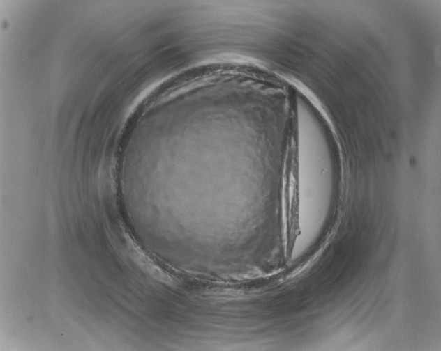 X0000084050783200703022213