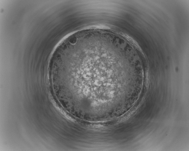 X0000084050784200703022213