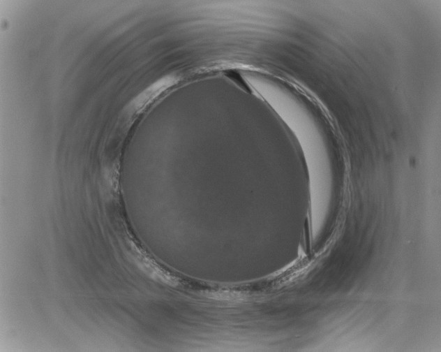 X0000084050785200703022213