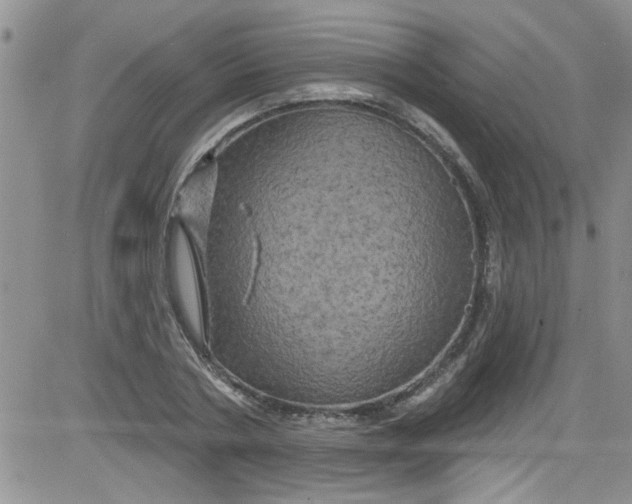 X0000084050786200703022213