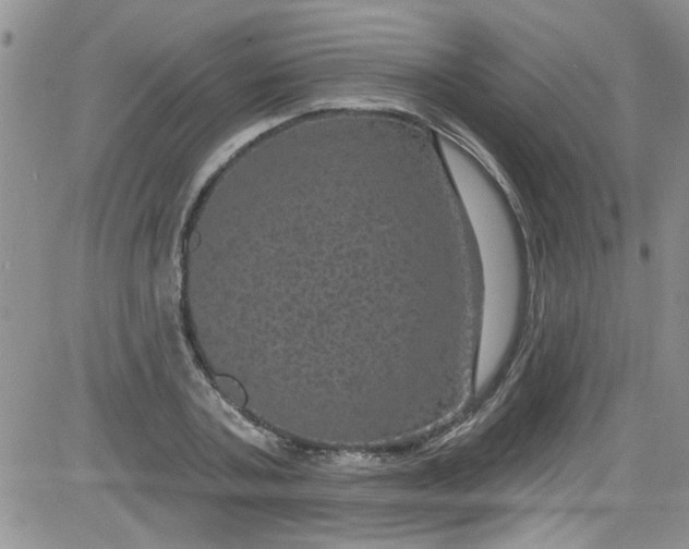 X0000084050787200703022213