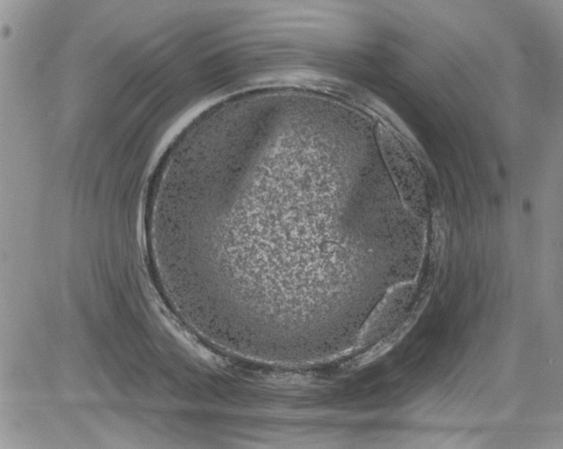 X0000084050788200703022213