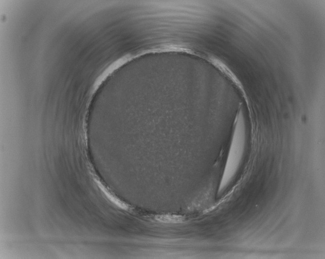 X0000084050789200703022213