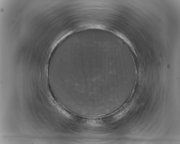 X0000084050790200703022213