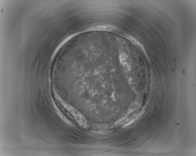 X0000084050792200703022213