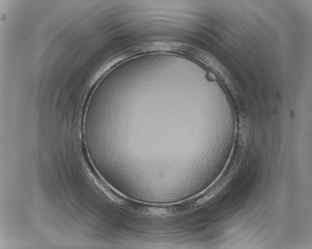 X0000084050794200703022213