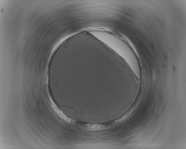 X0000084050795200703022213