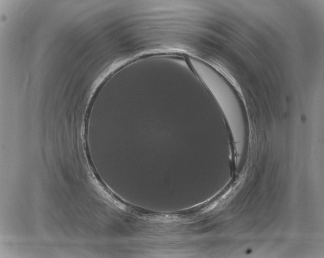 X0000084050797200703022213