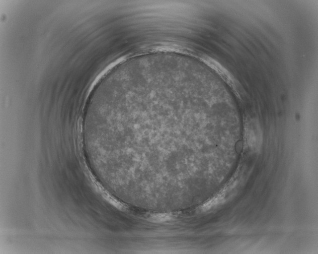 X0000084050798200703022213