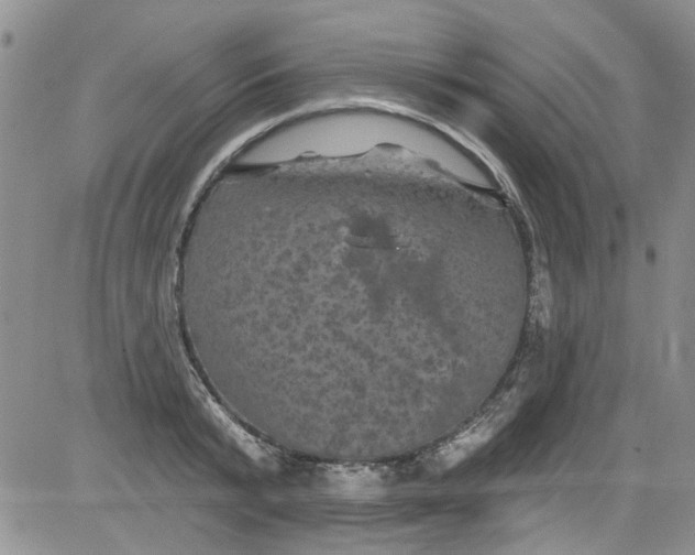 X0000084050799200703022213