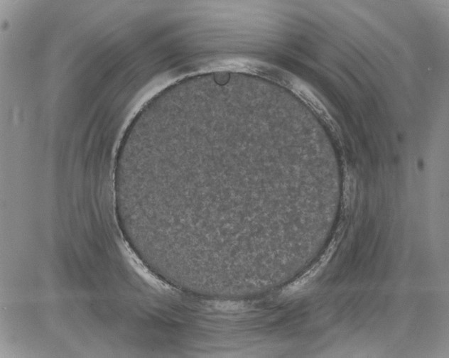 X0000084050800200703022213