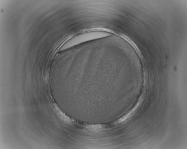 X0000084050801200703022213