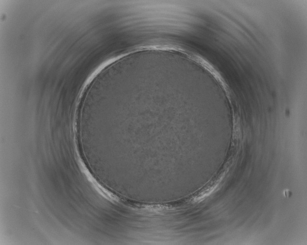 X0000084050803200703022213