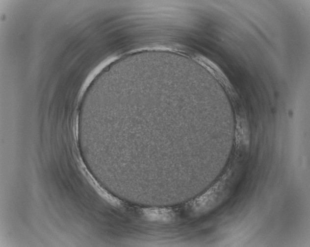 X0000084050804200703022213