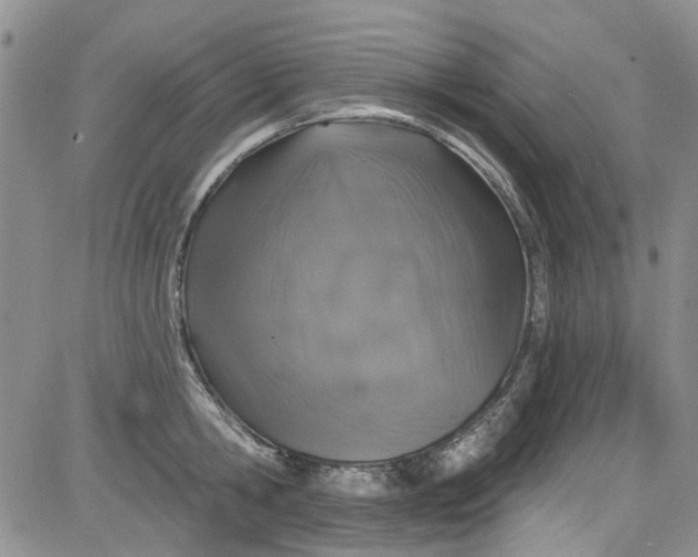 X0000084050806200703022213