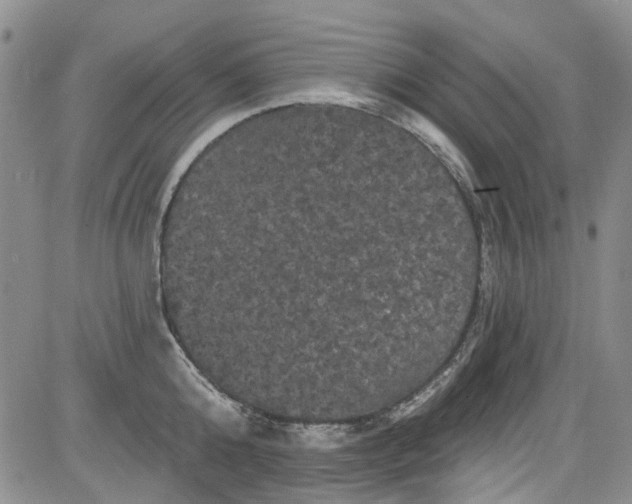 X0000084050808200703022213