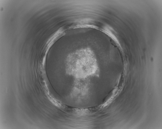 X0000084050809200703022213