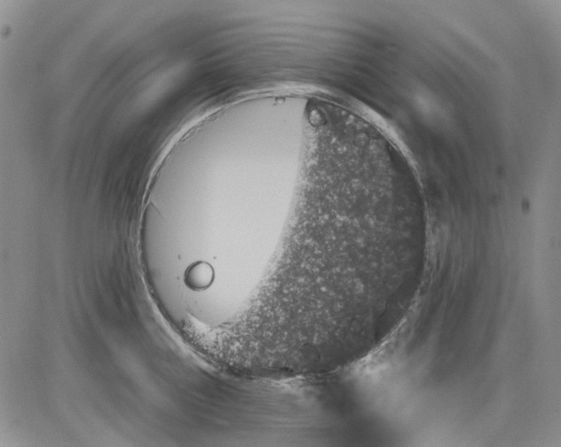 X0000084050810200703022213