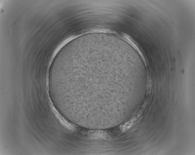 X0000084050811200703022213