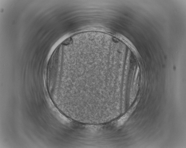 X0000084050812200703022213