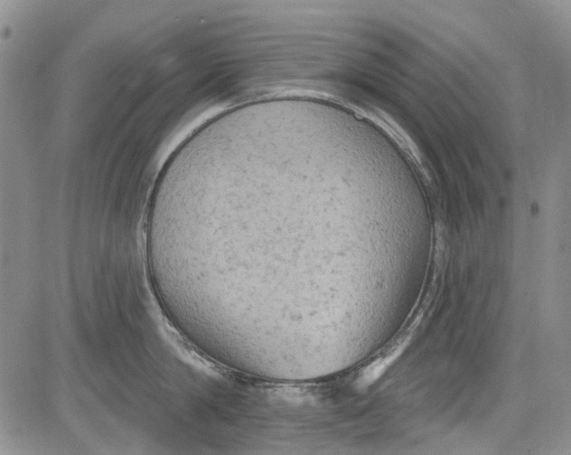 X0000084050814200703022213