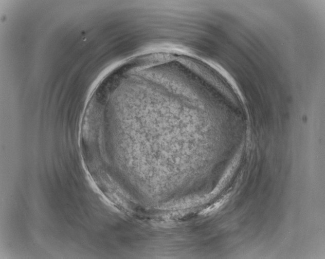 X0000084050815200703022213