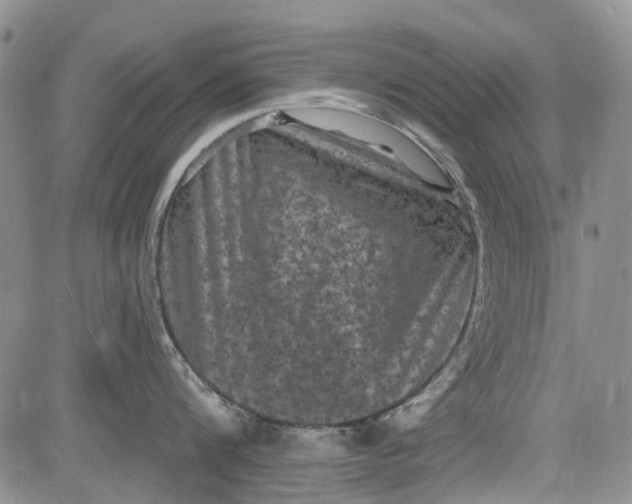 X0000084050816200703022213