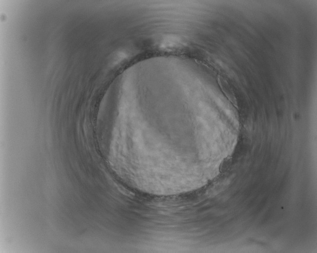 X0000084050817200703022212