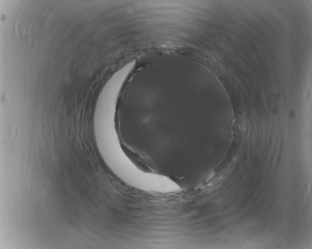 X0000084050818200703022212